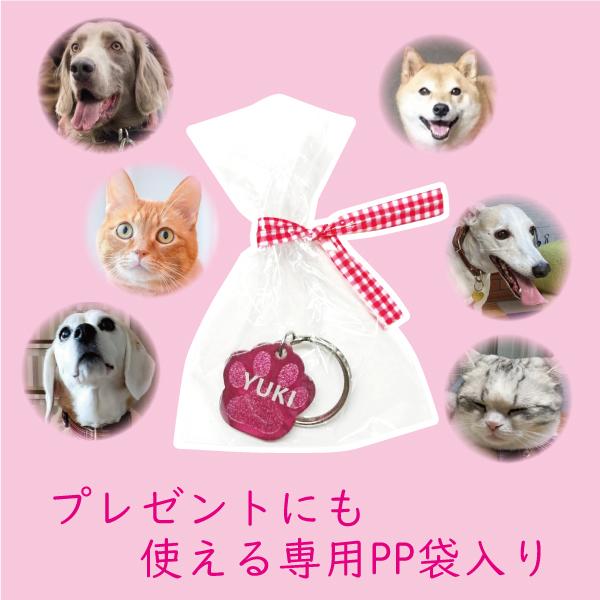 迷子札 足跡 肉球型 アルミ製 オマケ付き ネームプレート 名札 小型犬