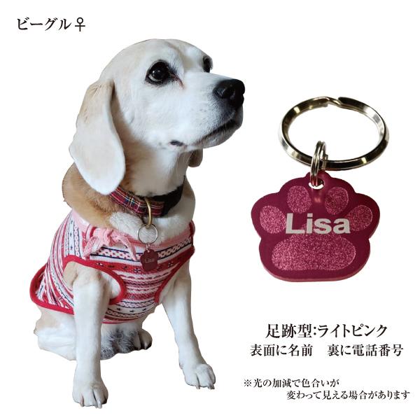 迷子札 足跡 肉球型 アルミ製 オマケ付き ネームプレート 名札 小型犬 中型犬 大型犬 E2 Blue Hands 通販 Yahoo ショッピング