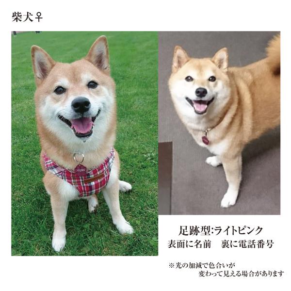 迷子札 足跡 肉球型 アルミ製 オマケ付き ネームプレート 名札　小型犬 中型犬 大型犬 |  | 04