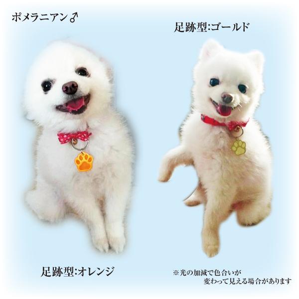 迷子札 足跡 肉球型 アルミ製 オマケ付き ネームプレート 名札　小型犬 中型犬 大型犬 |  | 05