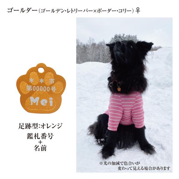 迷子札 足跡 肉球型 アルミ製 オマケ付き ネームプレート 名札　小型犬 中型犬 大型犬 |  | 06