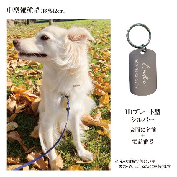 迷子札 ID ドッグタグ型 アルミ製 オマケ付き ネームプレート 名札　中型犬 大型犬 認識票にも |  | 01