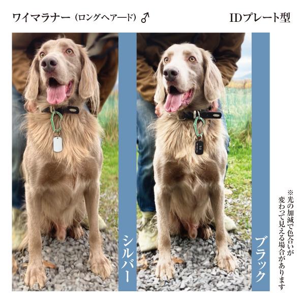 迷子札 ID ドッグタグ型 アルミ製 オマケ付き ネームプレート 名札　中型犬 大型犬 認識票にも |  | 02