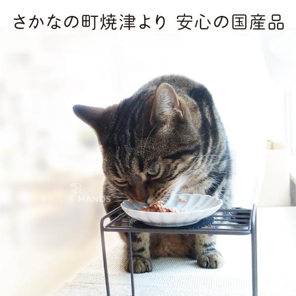 たまの伝説 選べる 11種 5セット 15パック 何も入れない 水分補給 やさしさプラス 国産 パウチ キャットフード STIサンヨー たま伝 | たまの伝説 | 01