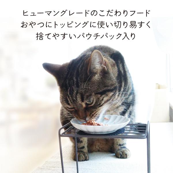 猫 おやつ ギフト キャットフード たまの伝説 プレゼント 10個 何も入れない まぐろ かつお ささみ 燻製かつお粒 さば たま伝 パウチ 国産 ＳＴＩサンヨー | たまの伝説 | 01