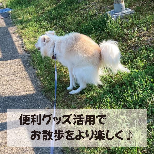 マーナポーチ S うんち袋 ケース ウンチ袋 ポーチ 2点セット ロール式 マナー袋 ホルダー 抗菌生地クレンゼ(R) |  | 13