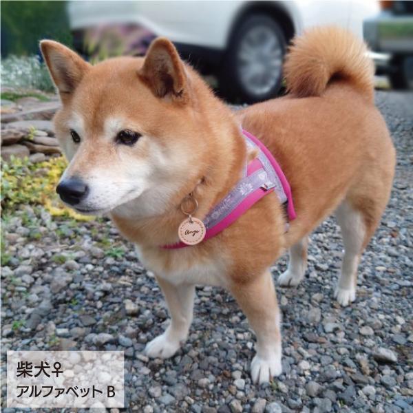 迷子札 犬 革 おしゃれ 猫 軽量 本革 両面 レザー ドッグタグ ペット ネームタグ マーク シルエット 寄付付き |  | 10