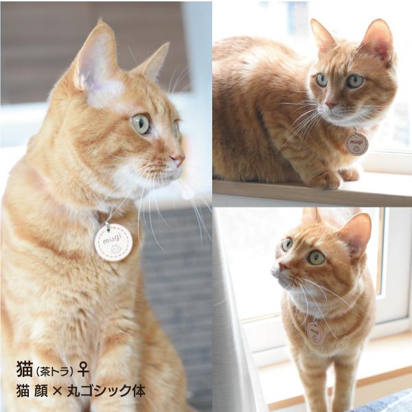 迷子札 犬 革 おしゃれ 猫 軽量 本革 両面 レザー ドッグタグ ペット ネームタグ マーク シルエット 寄付付き |  | 11