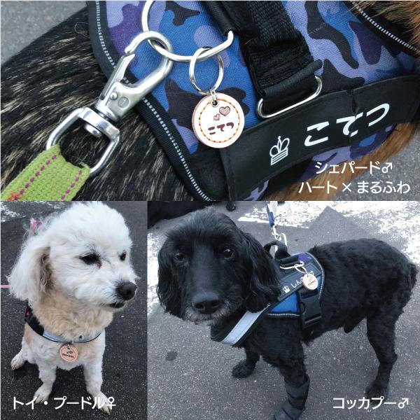 迷子札 犬 革 おしゃれ 猫 軽量 本革 両面 レザー ドッグタグ ペット ネームタグ マーク シルエット 寄付付き |  | 12