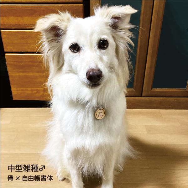 迷子札 犬 革 おしゃれ 猫 軽量 本革 両面 レザー ドッグタグ ペット ネームタグ マーク シルエット 寄付付き |  | 09