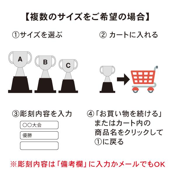 トロフィー 優勝 カップ 箱入り リボン付き 20.5cm 18cm 15cm ゴルフ コンペ 記念品 レプリカ スポーツ大会 イベント 高級感 3サイズ 樹脂製 |  | 12