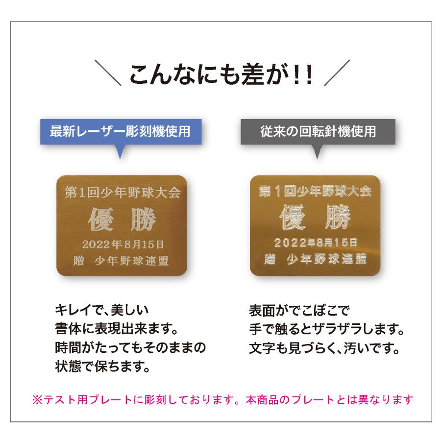 トロフィー 優勝 カップ 箱入り リボン付き 20.5cm 18cm 15cm ゴルフ コンペ 記念品 レプリカ スポーツ大会 イベント 高級感 3サイズ 樹脂製 |  | 15