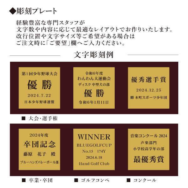 トロフィー 優勝 箱入り ゴルフ コンペ 記念品 ブルー リボン付 レプリカ イベント 高級感 3サイズ 樹脂製 野球 サッカー バレー バスケット 卓球 |  | 13