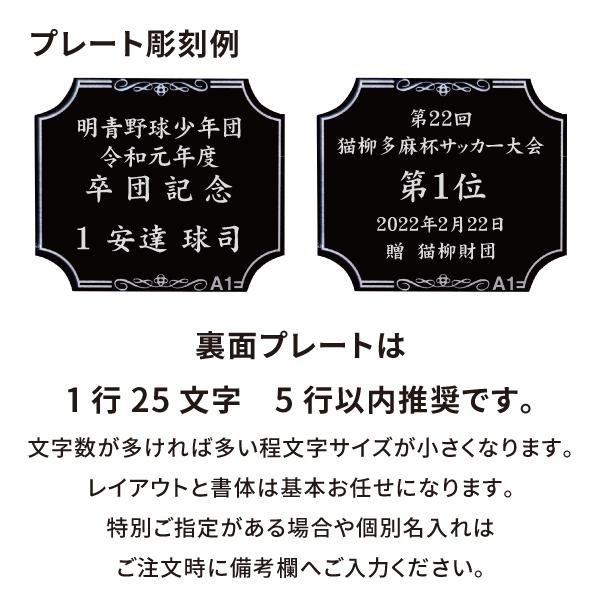 表彰メダル 直径40mm 首掛けリボン ケース入 SMメダル まとめ買い 卒団 記念品 卒業 金メダル ご褒美 誕生日 |  | 06