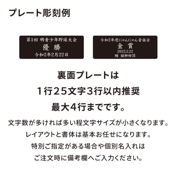 表彰メダル 直径50mm 首掛けリボン スタンドケース入 MJメダル 金属製 ダイキャスト製 まとめ買い 卒団 記念品 卒業 金メダル ご褒美 誕生日 コスパ お得 |  | 05