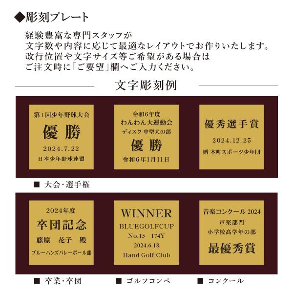 トロフィー 優勝 箱入り ゴルフ コンペ 記念品 レッド リボン付 レプリカ イベント 高級感 3サイズ 樹脂製 野球 サッカー バレー バスケット 卓球 |  | 13