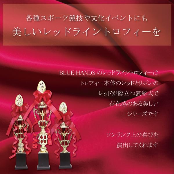トロフィー 優勝 箱入り ゴルフ コンペ 記念品 レッド リボン付 レプリカ イベント 高級感 3サイズ 樹脂製 野球 サッカー バレー バスケット 卓球 |  | 01