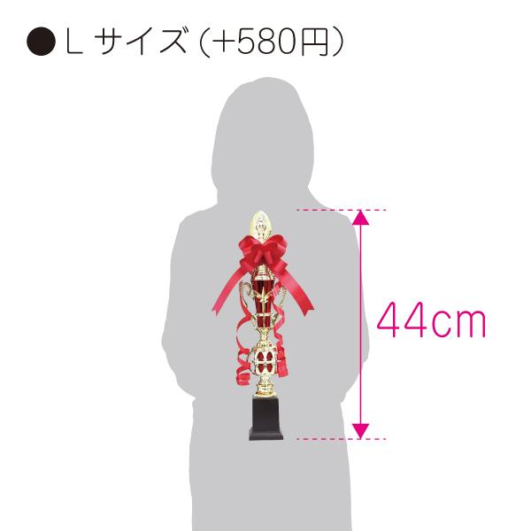 ディオール　2024年限定　 マゼンタレッドリボン　1ロール　50メートル ディオール 2024年限定 マゼンタレッドリボン 1ロール 50メートル