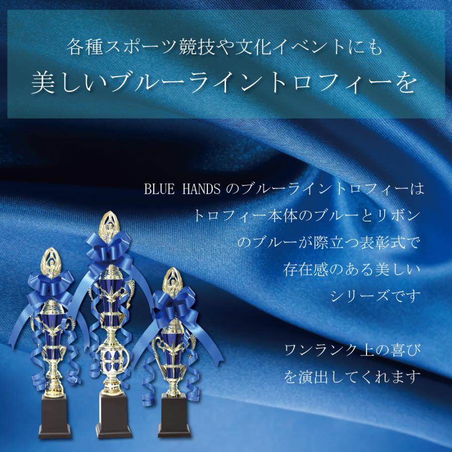 トロフィー 優勝 箱入り ３本セット 大会用 S・M・L 大中小 ゴルフ コンペ 記念品 ブルー リボン付 イベント 高級感 野球 サッカー バレー バスケット 卓球 |  | 02