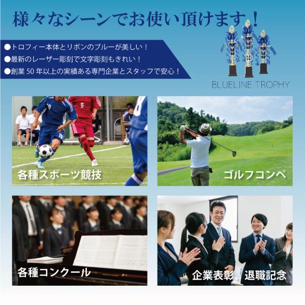 トロフィー 優勝 箱入り ３本セット 大会用 S・M・L 大中小 ゴルフ コンペ 記念品 ブルー リボン付 イベント 高級感 野球 サッカー バレー バスケット 卓球 |  | 03