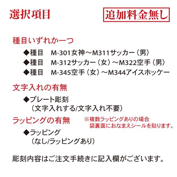 表彰メダル 直径35mm 首掛けリボン スタンドケース入 卒団 記念品 卒業 金メダル |  | 09