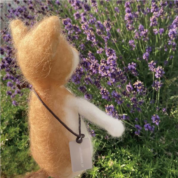 ぬいぐるみ 迷子札 アクリル 名札 タグ 連絡先 アカウント名 QRコード チルぬい ともぬい ぬい撮り |  | 02