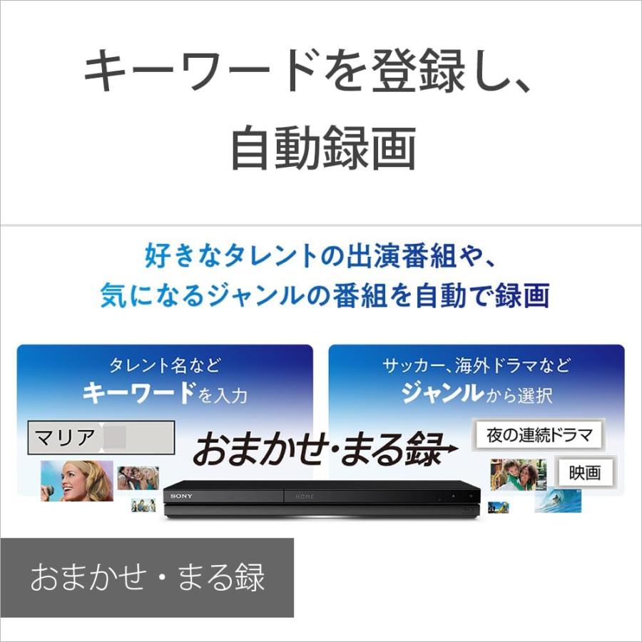 SONY（ソニー） 1TB 2チューナー ブルーレイレコーダー BDZ-ZW1900 長