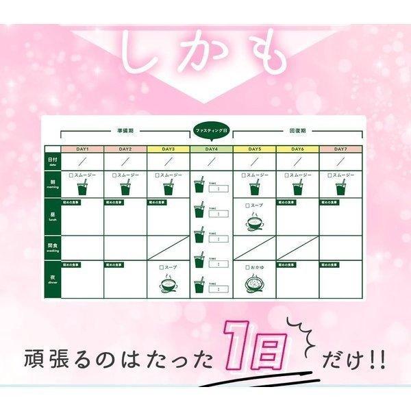 GB 1DAY CLEANSE SET ワンデイ クレンズ セット ダイエット食品 GB 1DAY CLEANSE SET ワンデイ クレンズ セット ダイエット食品