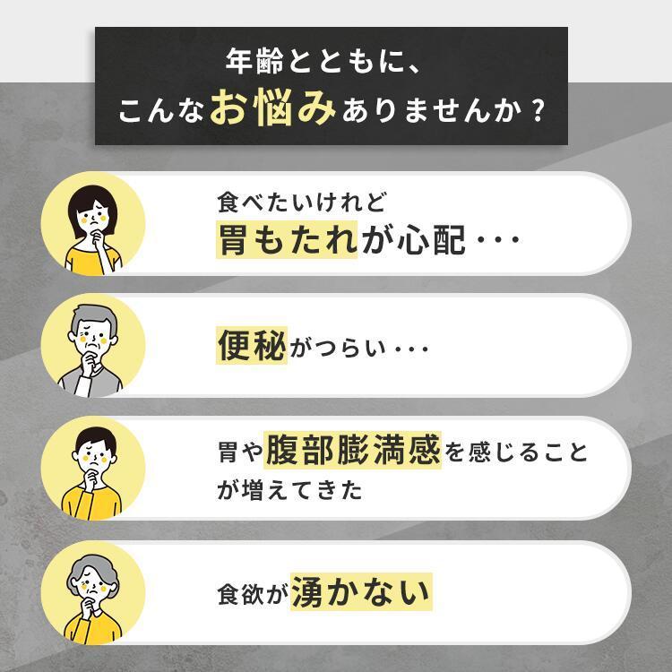 ラクトロン　明治製薬　✖️5袋 明治薬品 【5個セット】明治薬品 ラクトロン錠 60錠 5袋