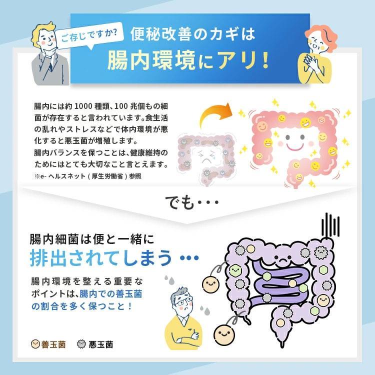 明治薬品 【5個セット】明治薬品 ラクトロン錠 60錠 5袋