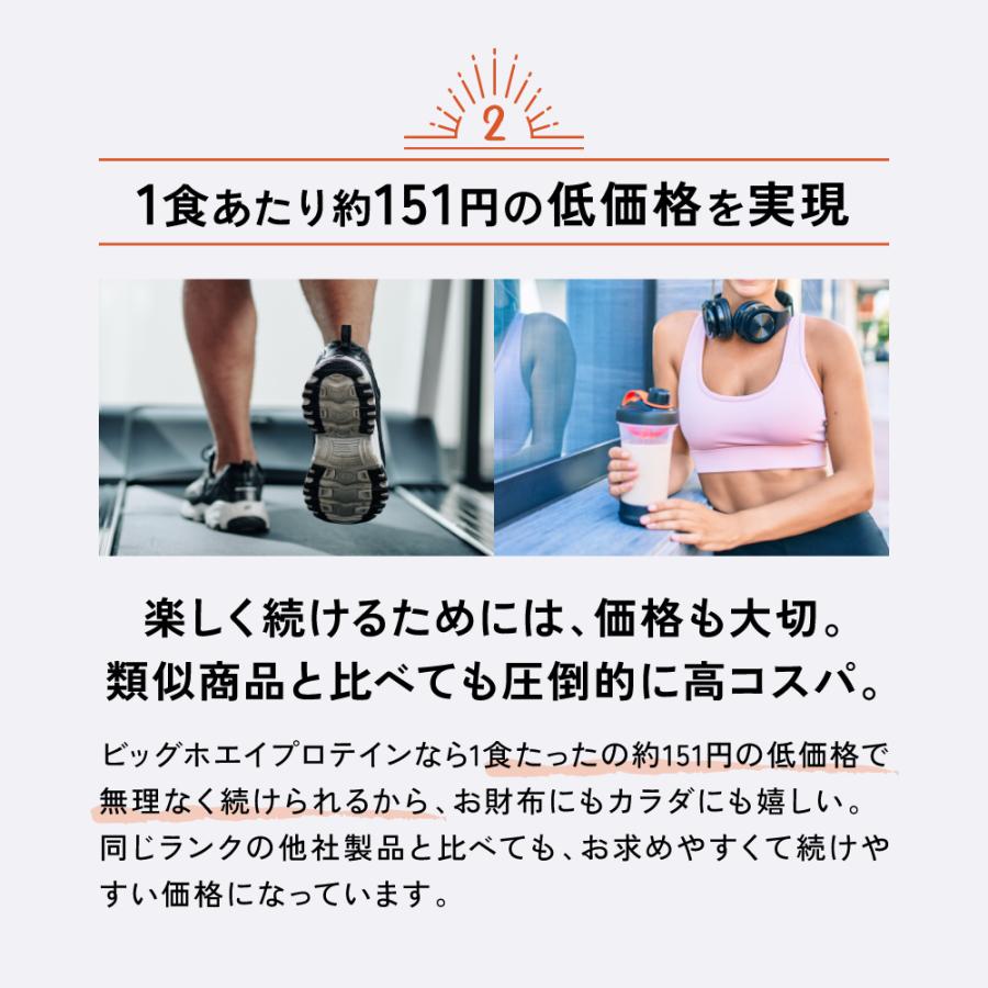 バルクスポーツ 【香料、着色料、保存料、乳化剤の添加使用なしの