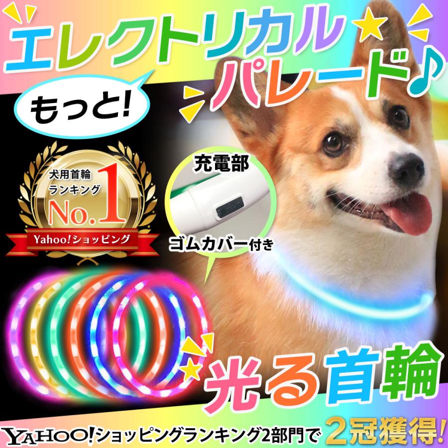 人気ショップが最安値挑戦！】 首輪 犬 光る首輪 犬用 レインボー LED USB 防犯 夜 散歩 ライト おしゃれ 猫 小型犬 大型犬  discoversvg.com