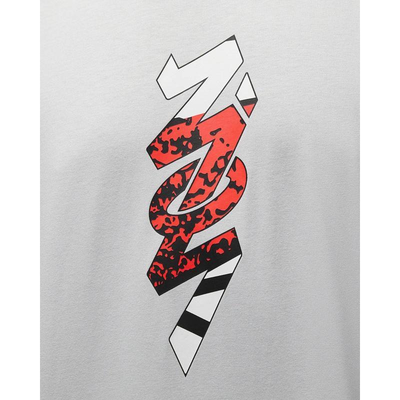 NIKE ナイキ Tシャツ 半袖 メンズ ザイオン Tシャツ FJ4615-025 新作 Tシャツ