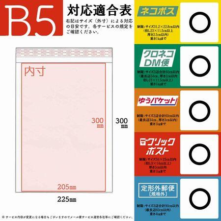 アイ・エス クッション封筒 B5サイズ対応 白 100枚 CE-B5-100