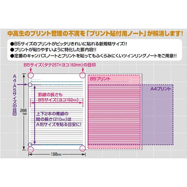 3冊までメール便OK】コクヨ キャンパスツインリングノート プリント