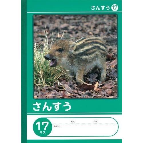 Nk学習帳 さんすう 17マス リーダー入 セミb5 日本製 Nkb B5g Sa17m 10冊セット x10 ぶんぶん文具屋さん Yahoo 店 通販 Yahoo ショッピング