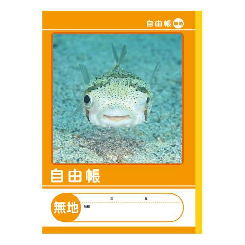 7冊までメール便OK】NK学習帳 自由帳 [無地] 小学3〜6年生 NKB-B5G-JIK