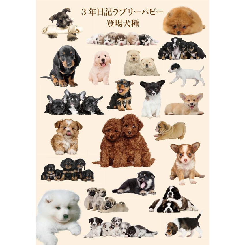 ネコポス対応 スキルマン ディアカーズ 3年日記 ラブリーパピー 日記帳 ぶんぶん文具屋さん Yahoo 店 通販 Yahoo ショッピング