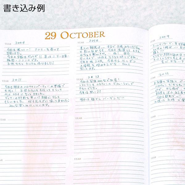 Sale 在庫限り スキルマン ディアカーズ 10年日記 ピーターラビット 10年連用日記帳 かわいい日記帳 Sklman 1509 ぶんぶん文具屋さん Yahoo 店 通販 Yahoo ショッピング