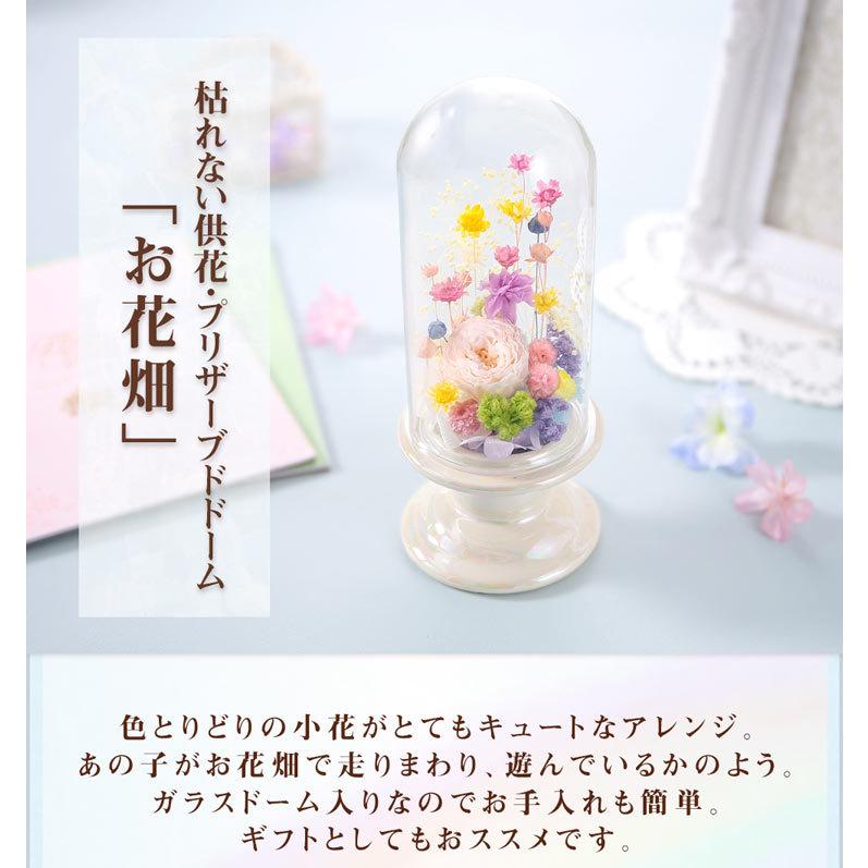 あすつく 14時まで 花 ペット お悔やみ 供養 プリザーブドドーム お花畑 送料無料 枯れない供花 虹の橋 命日 誕生日 ギフト プレゼント お供え お盆 仏花 At Usl 036yh Bunbun Bee 通販 Yahoo ショッピング