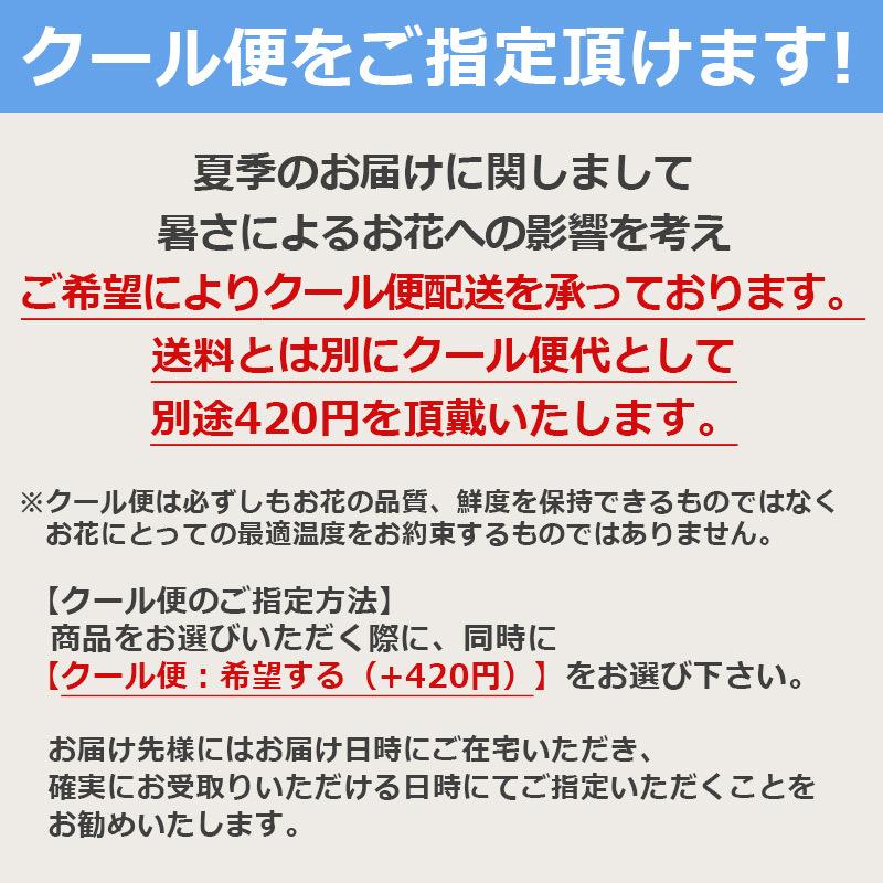 キャンディーブーケ 誕生日プレゼント ギフト 女性 花 スイーツ アレンジ Full フル スマイル Ca Usc 009yh Bunbun Bee 通販 Yahoo ショッピング