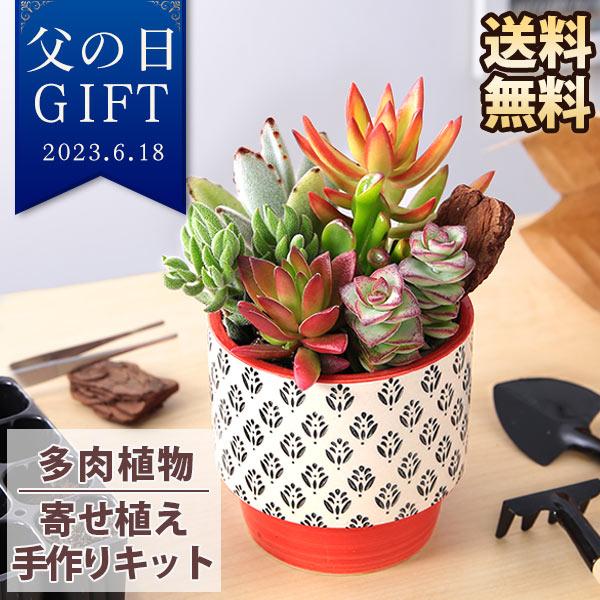 父の日 プレゼント ギフト 手作り キット 自分で植える楽しみ 多肉寄せ植えキット ハンドメイドキット 多肉植物 寄せ植え 送料無料 イベントギフト 22 人気の定番