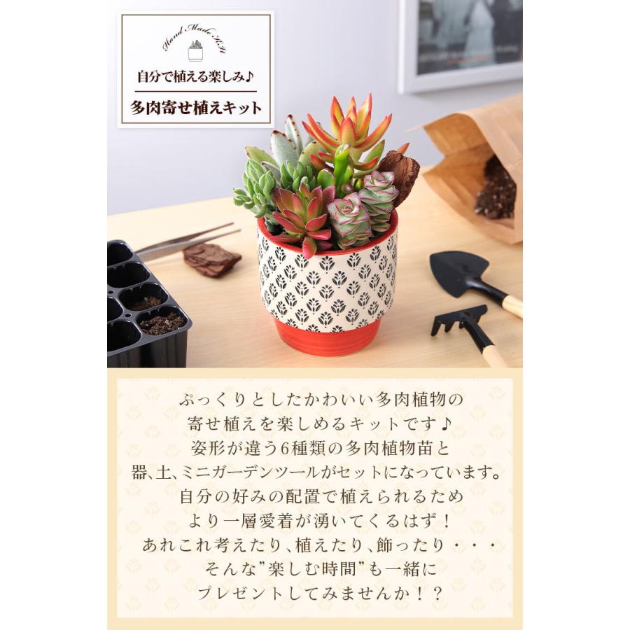 父の日 プレゼント ギフト 手作り キット 自分で植える楽しみ 多肉寄せ植えキット ハンドメイドキット 多肉植物 寄せ植え 送料無料 イベントギフト 22 Dd Fa 0004yh Bunbun Bee 通販 Yahoo ショッピング