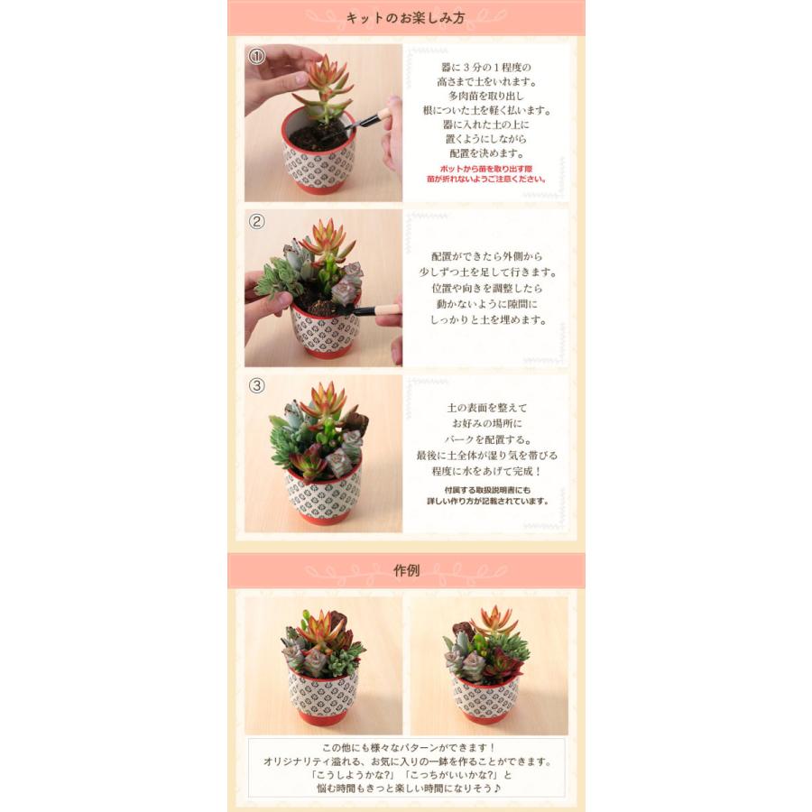 父の日 プレゼント ギフト 手作り キット 自分で植える楽しみ 多肉寄せ植えキット ハンドメイドキット 多肉植物 寄せ植え 送料無料 イベントギフト 22 Dd Fa 0004yh Bunbun Bee 通販 Yahoo ショッピング