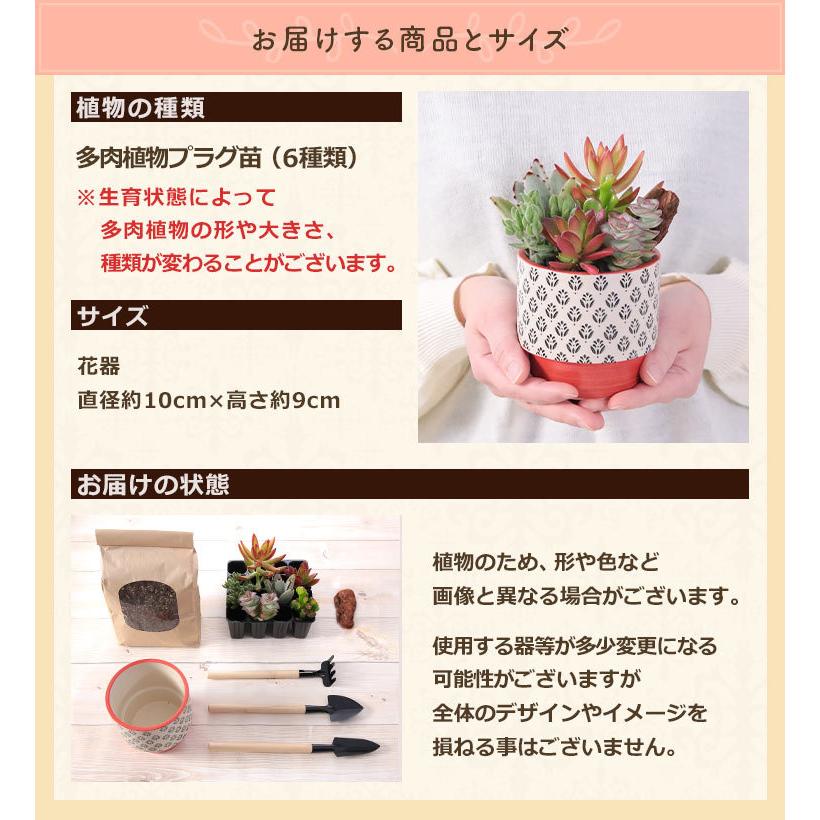 父の日 プレゼント ギフト 手作り キット 自分で植える楽しみ 多肉寄せ植えキット ハンドメイドキット 多肉植物 寄せ植え 送料無料 イベントギフト 22 Dd Fa 0004yh Bunbun Bee 通販 Yahoo ショッピング