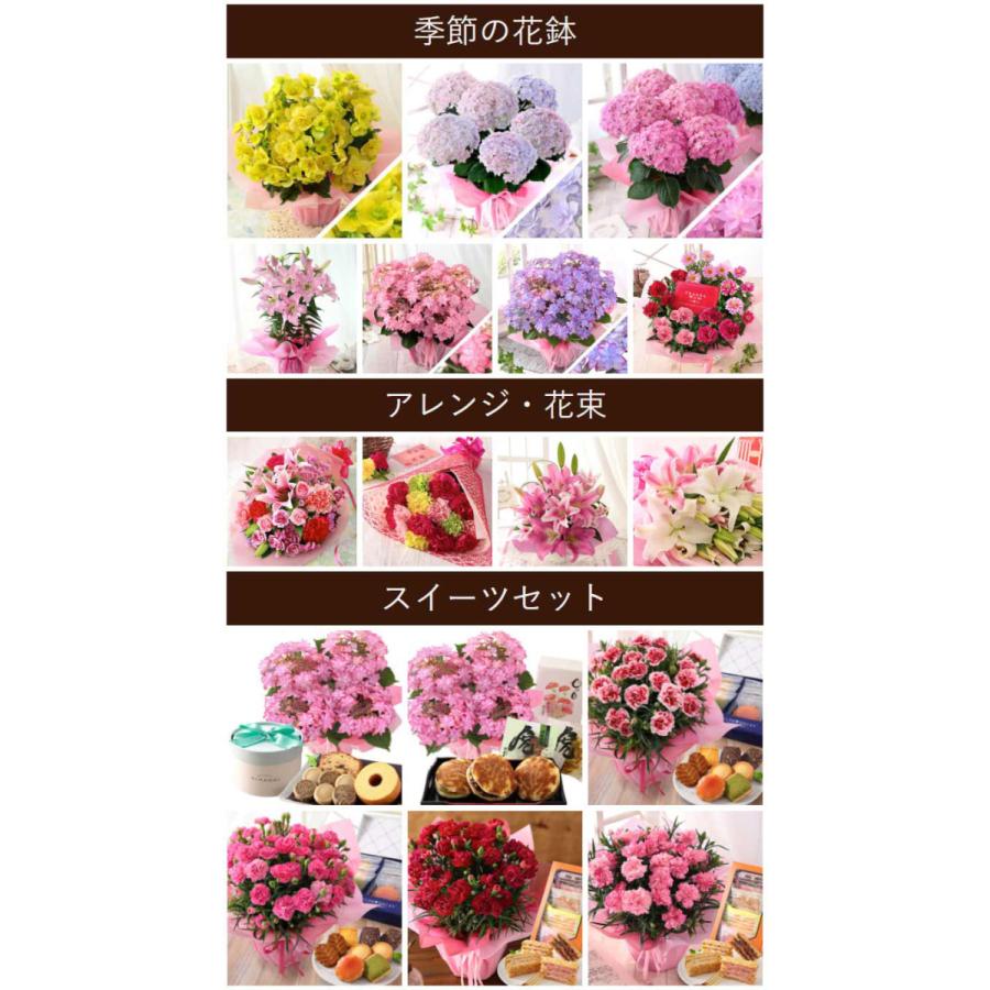 4 1 14時まで早割実施中 母の日 プレゼント ギフト 花 鉢植え アジサイ カーネーション 寄せ鉢 アレンジ 花束 スタンディングブーケ イベントギフトa 21 Event 001 Bunbun Bee 通販 Yahoo ショッピング