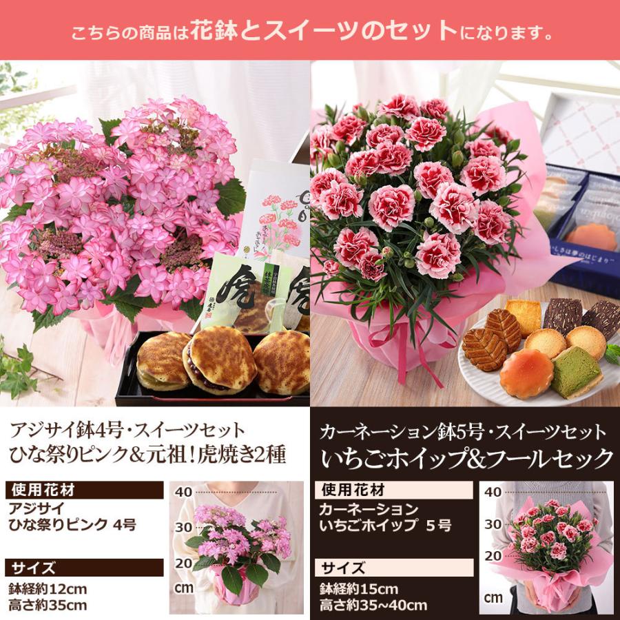 22 迎春 お正月 門松 アレンジメント 胡蝶蘭 イベントギフトa 花 正月飾り 年賀 フラワー ギフト 花鉢 部屋 玄関 竹 置物 おしゃれ 水引 Event 001 Bunbun Bee 通販 Yahoo ショッピング