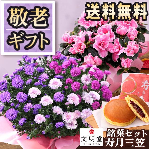 敬老の日 ギフト 花 スイーツ プレゼント 和菓子 セット プティブーケ 菊まめ皿 ドライフラワー 送料無料 イベントギフトe Event 005 Bunbun Bee 通販 Yahoo ショッピング