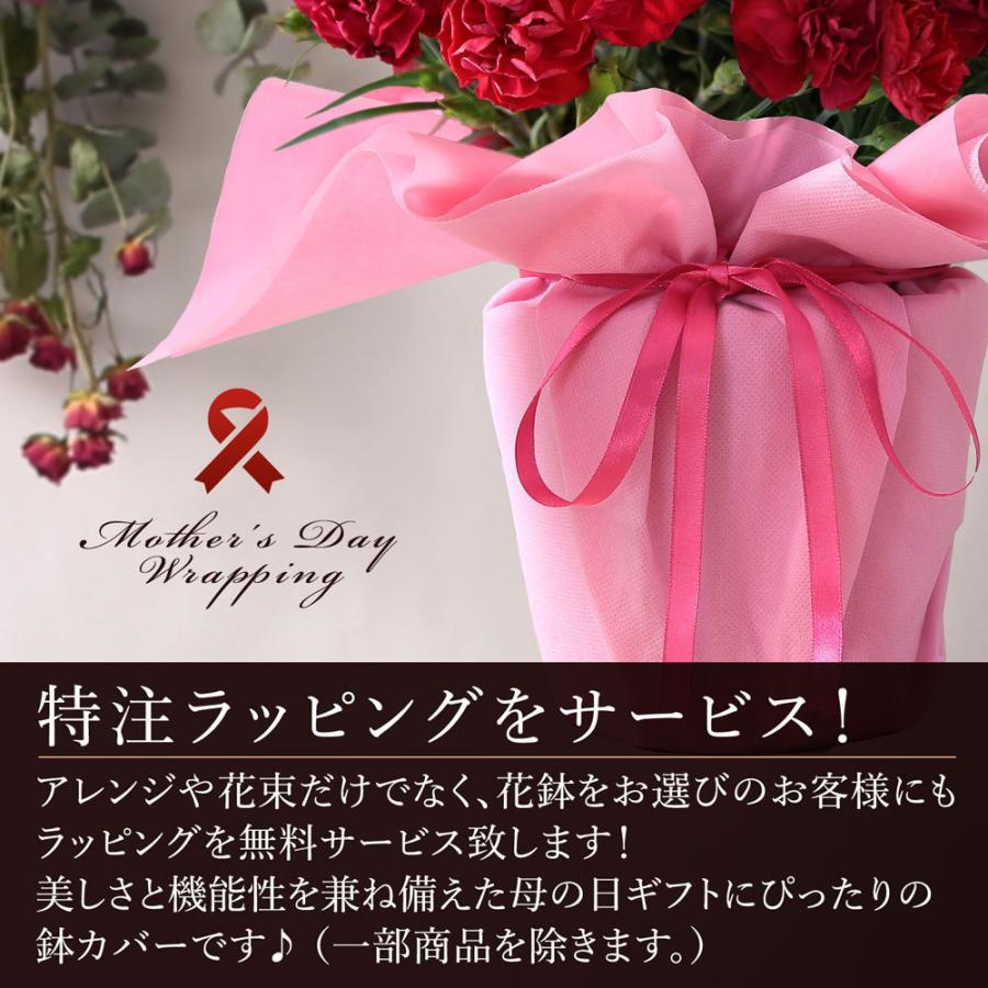 母の日 21 花 ギフト プレゼント 鉢植え ダリア バラ カランコエ カリブラコア 寄せ鉢 イベントギフトe Event 005 Bunbun Bee 通販 Yahoo ショッピング