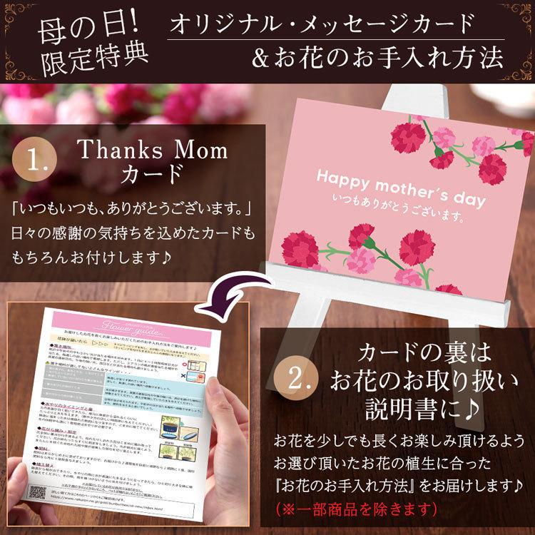 母の日 22 ギフト 花 プレゼント 鉢植え ダリア バラ カーネーション カリブラコア カランコエ 寄せ植え イベントギフトe Event 005 Bunbun Bee 通販 Yahoo ショッピング